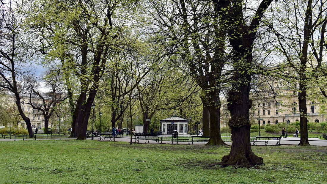 Skwer Andrzeja Wajdy na Plantach w Krakowie